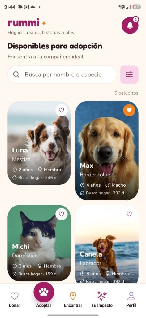 Pantalla de adopción de Rummi con mascotas disponibles